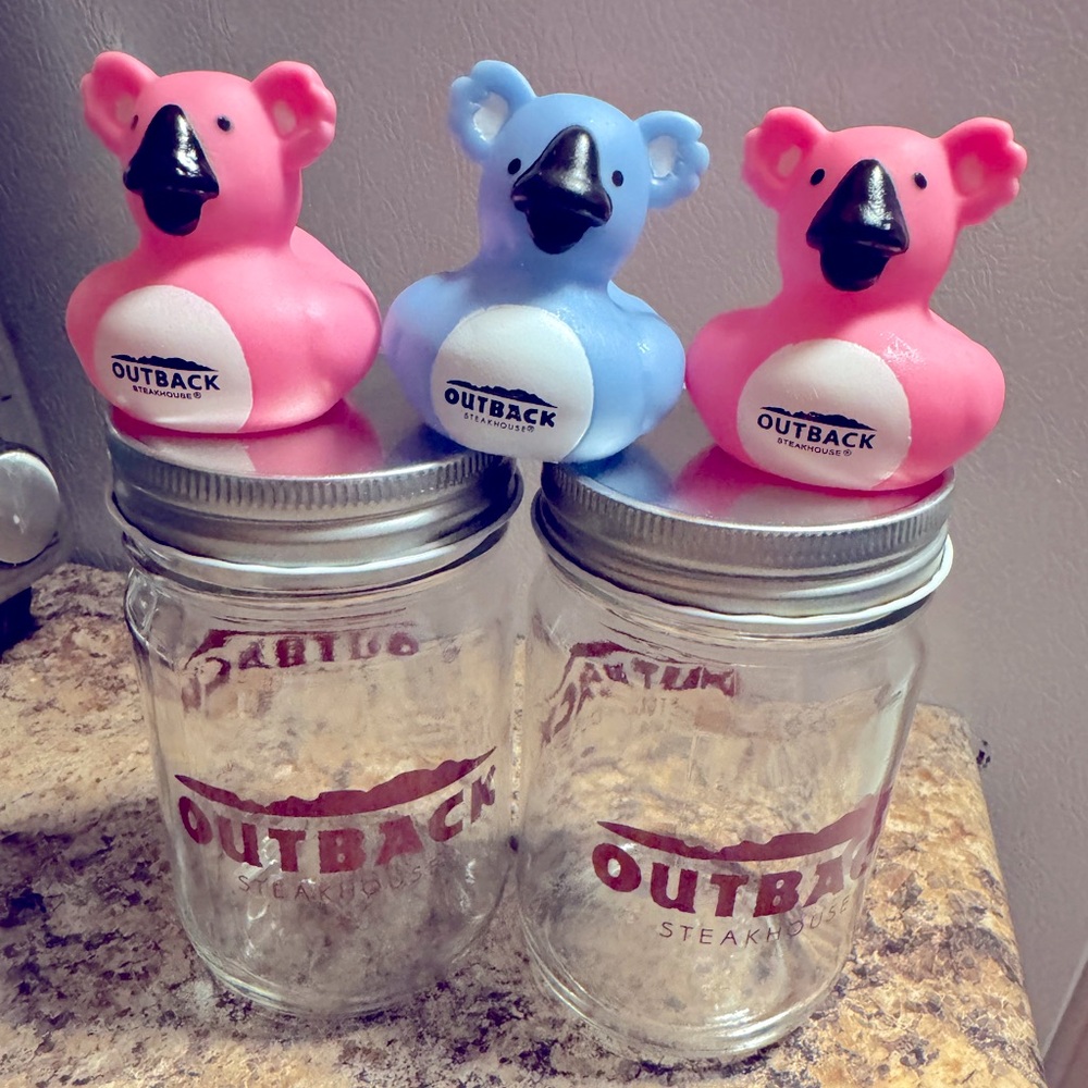Set of two Outback Steakhouse Mason Jars with Three Pink and Blue Ducks